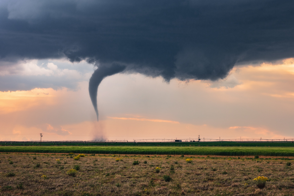Tornado funnel cloud over a field at sunset, emphasizing the rotating storm.